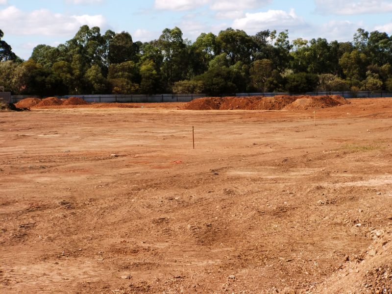 Seasonal Site Preparation